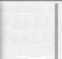 �W(w��ng)վ�o(w��)�L���l�O(sh��)Ӌ(j��)